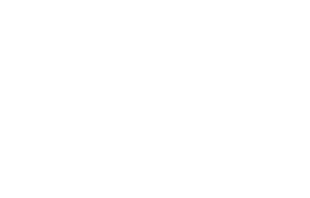 Casey Game Studio logo